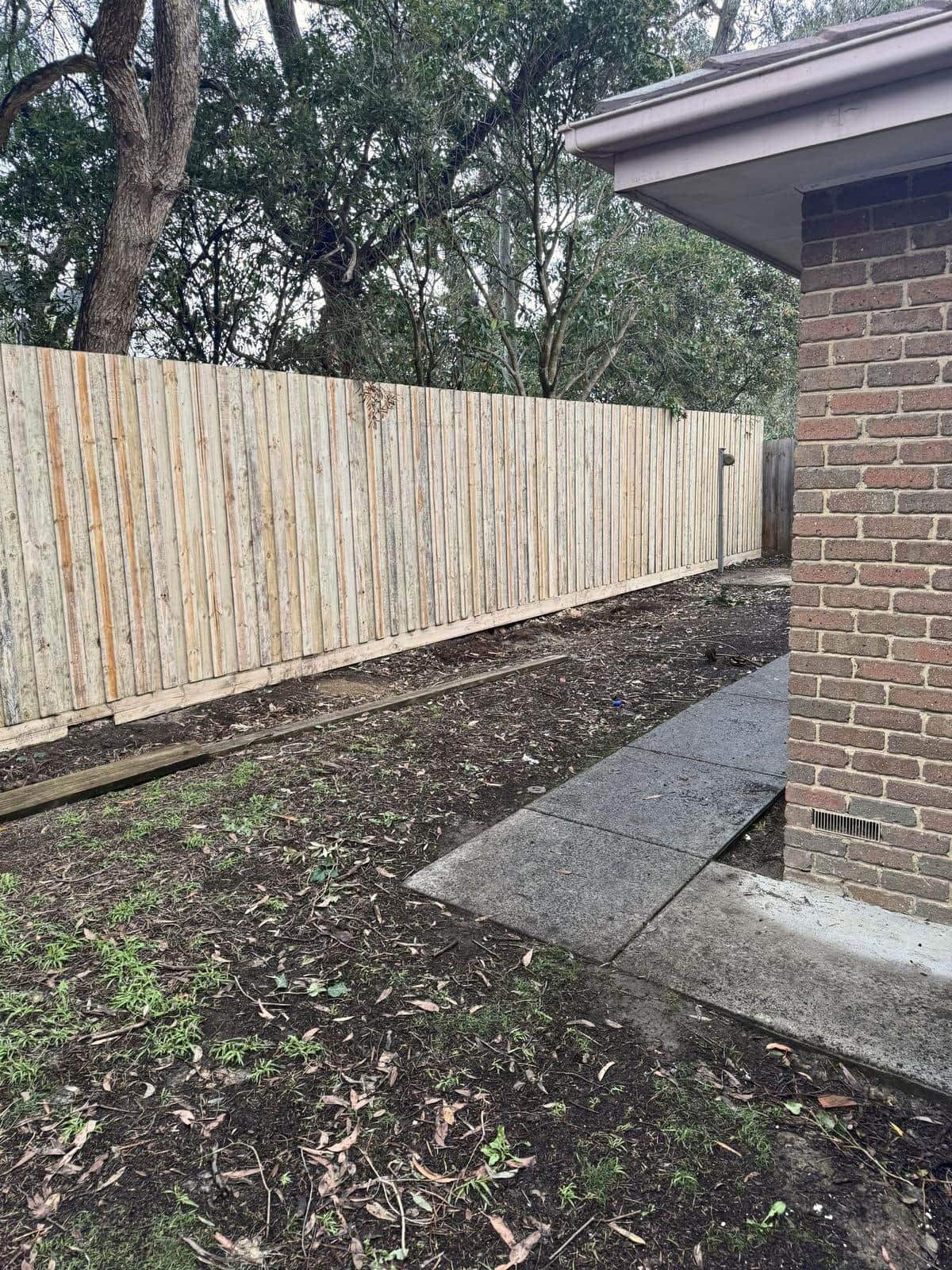 Bare soil along a new paling fence beside the house, Forest Hill