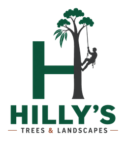 Hilly's Trees