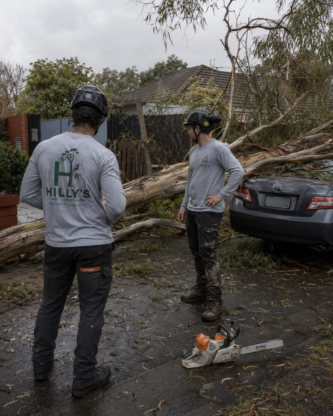 Emergency Tree Removal