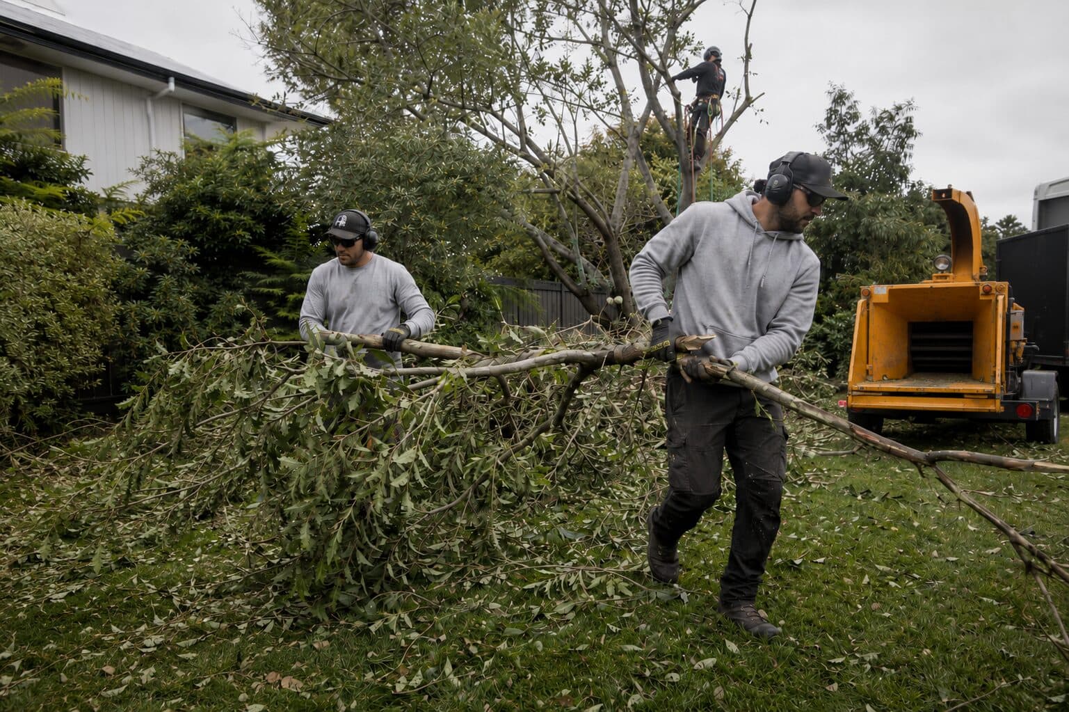 Land Clearing