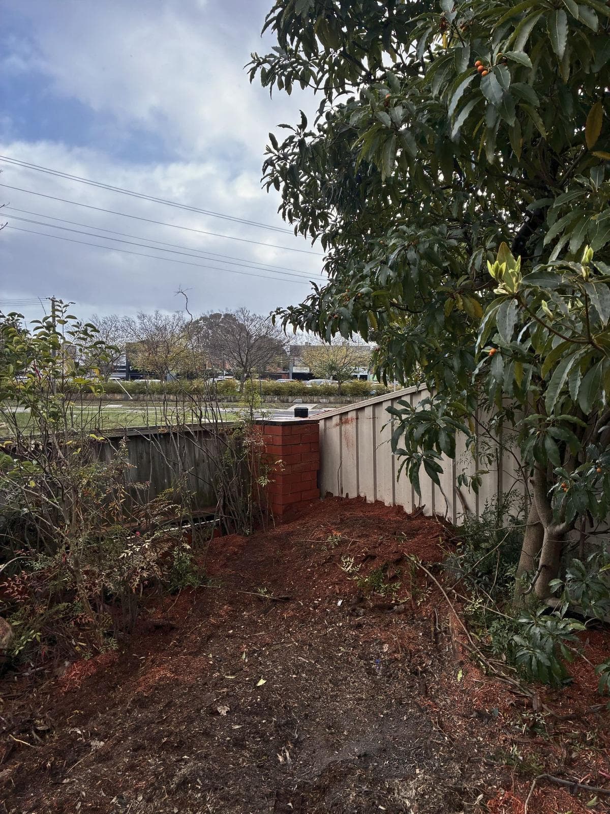 Cleared ground along a side fence, Mount Waverley