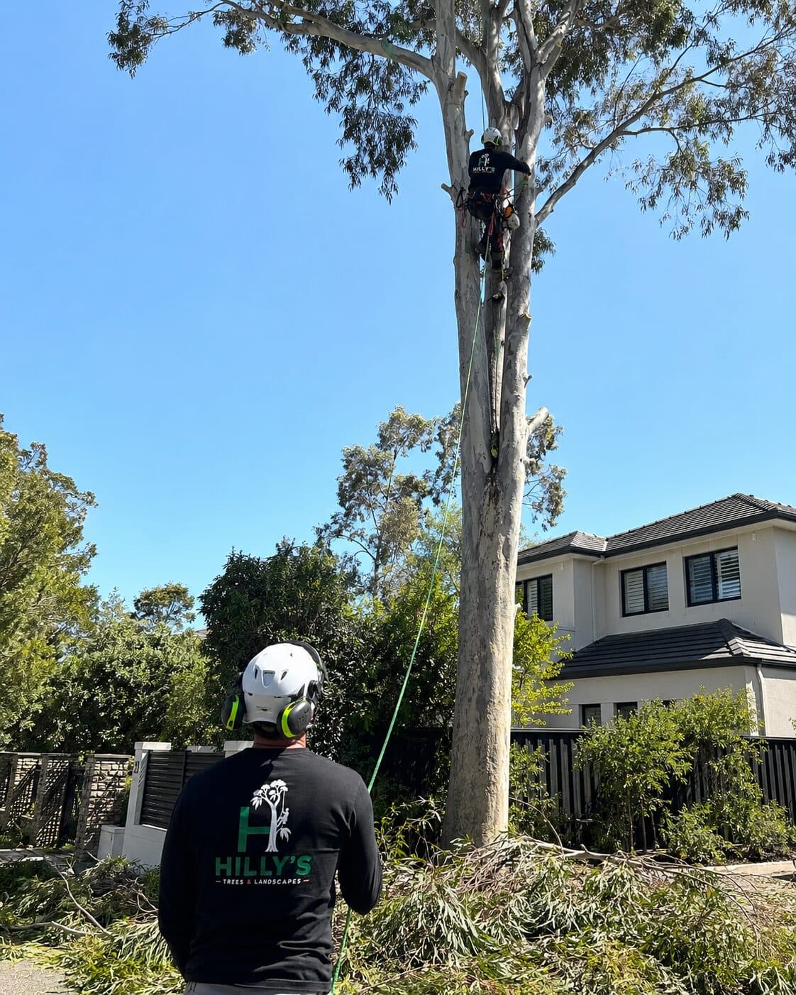 Tree Pruning